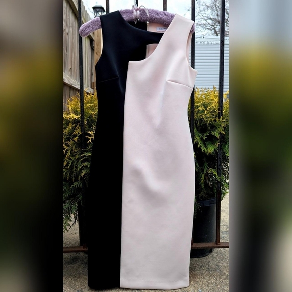 Calvin Klein Dresses & Skirts - Calvin Klein White & Black Split Cut Out Sleeveless Sheath Dress